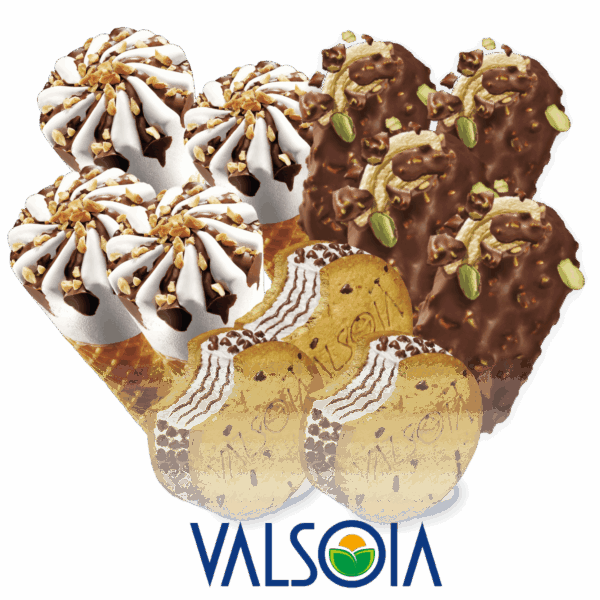 Vegan pakkinn - 11 stk - Ísbíllinn