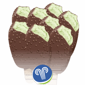 Perupinni - Magnpakki - 4 stk